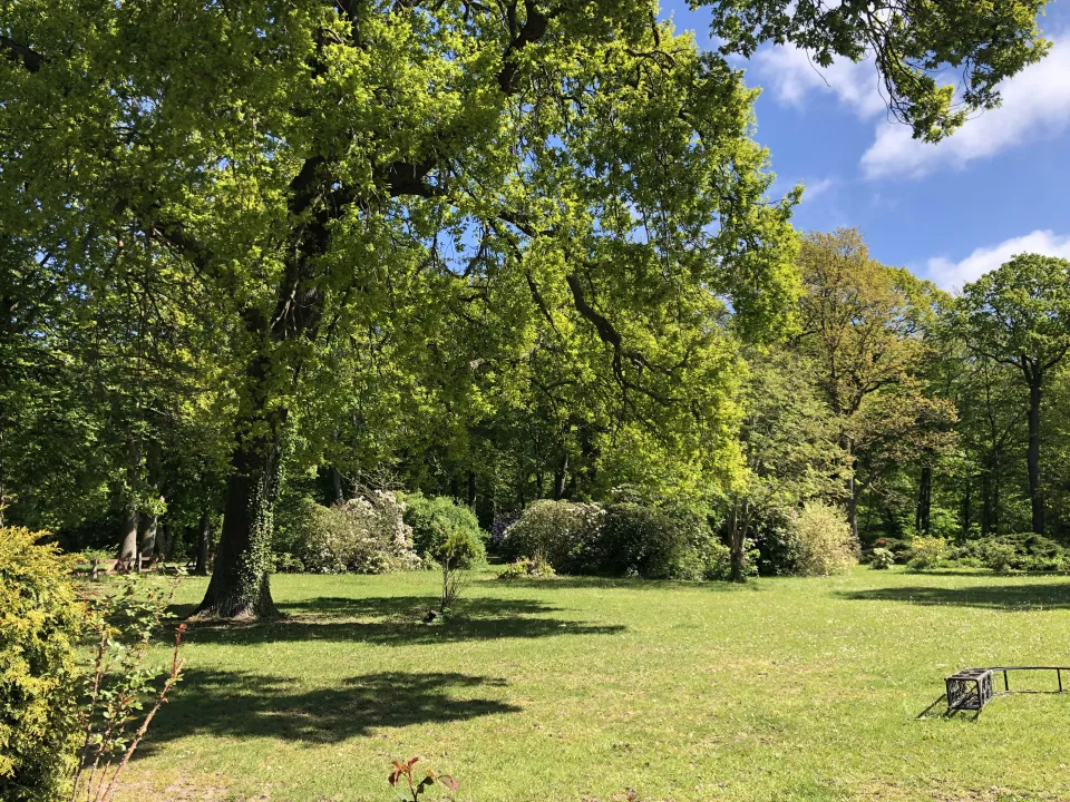 Parkähnliches Gelände mit alten Eichen