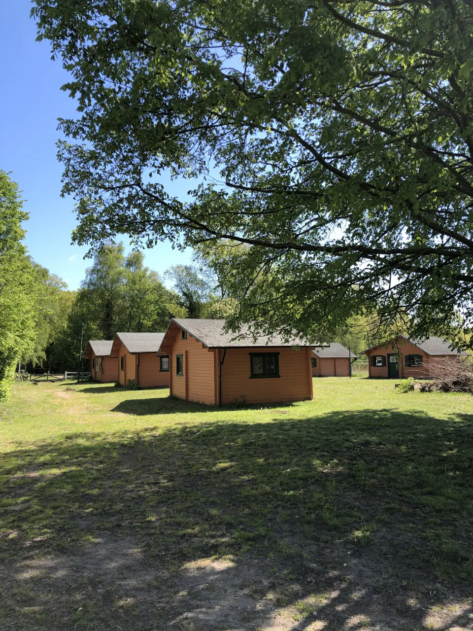 Bungalows am Waldrand