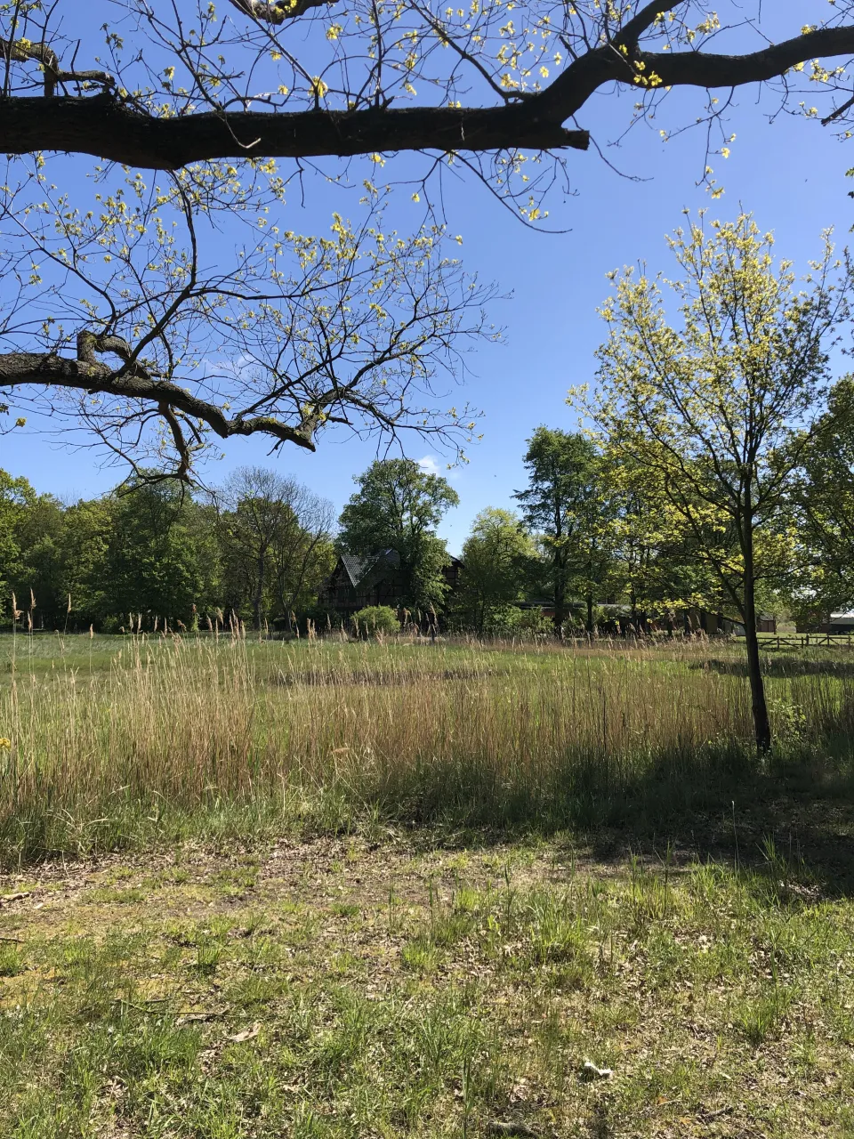 Wiese am Waldrand mit Blick auf den Gasthof
