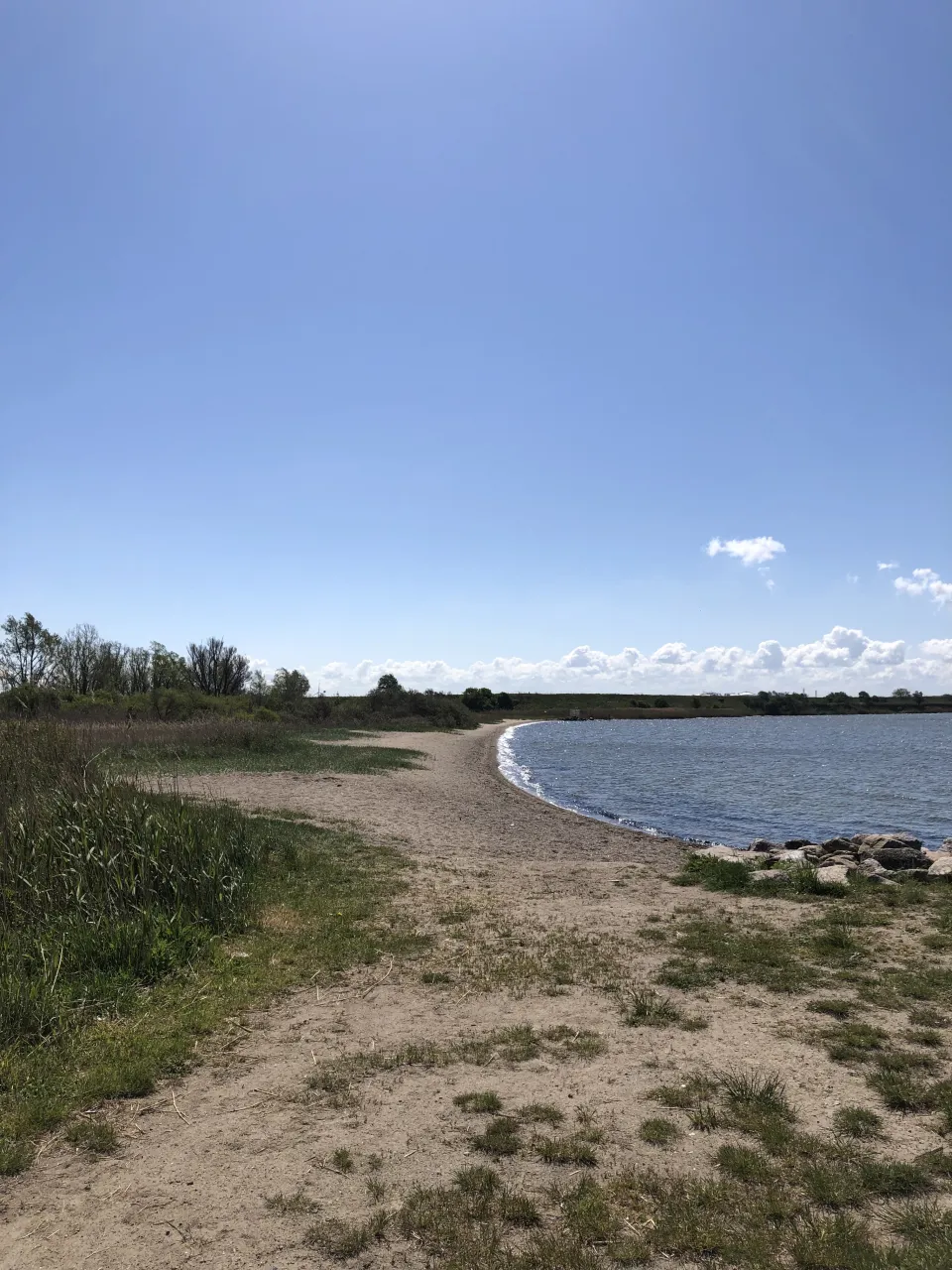 Blick über die Heide Richtung Strand